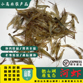 微山湖淡水河虾新鲜青虾草虾鲜活速冻清水小河虾宝宝补钙顺丰 包邮