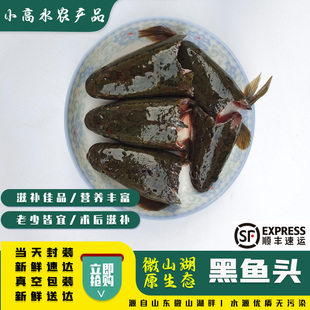 微山湖新鲜黑鱼鱼头活鱼现杀乌鱼乌鳢鱼头营养炖汤鱼头汤煲顺丰