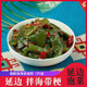 裙带菜 延边泡菜香辣海带根 海带苗 海带片 辣拌海带梗下饭菜 韩式