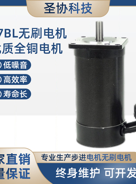 57无刷电机24V3000转145W自动化设备动态阀无刷电机厂家直销