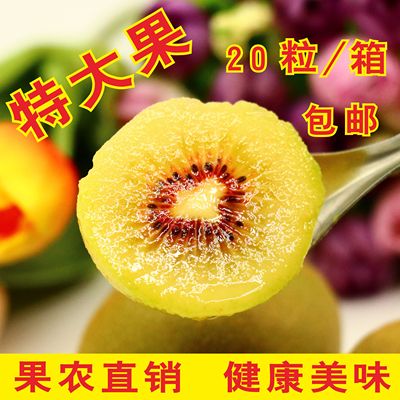 正宗四川蒲江红心猕猴桃奇异果孕妇新鲜当季水果特大果5斤包邮