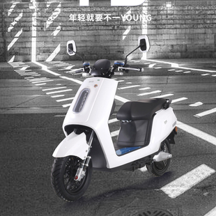 台铃电动车配件Y3前泥板前卫面板边条脚踏板工具箱坐桶原厂Y2极速