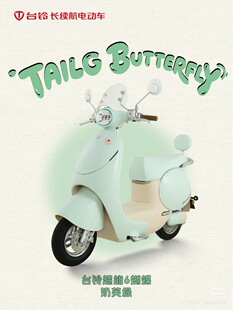 台铃电动车配件蝴蝶EB前泥板前卫面板工具箱脚踏板边条坐桶原厂壳