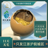 新鲜生 11天南京六合活珠子鸡胚蛋凤凰蛋活 100枚 壹蛋蛋