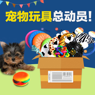 宠物玩具棉绳结球逗狗球洁齿球狗狗猫咪耐咬磨牙发生洁牙训练