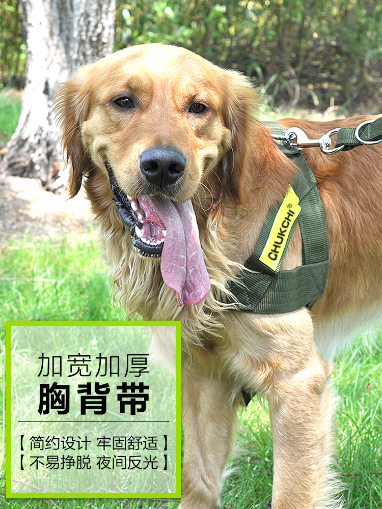 大型犬链子牵引绳拉布拉多反光带狗背心式大狗胸背带遛狗绳套装