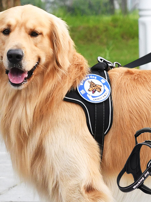 CHUKCHI狗狗牵引绳狗链子背心式胸背带大型犬脖套项圈遛狗绳金毛