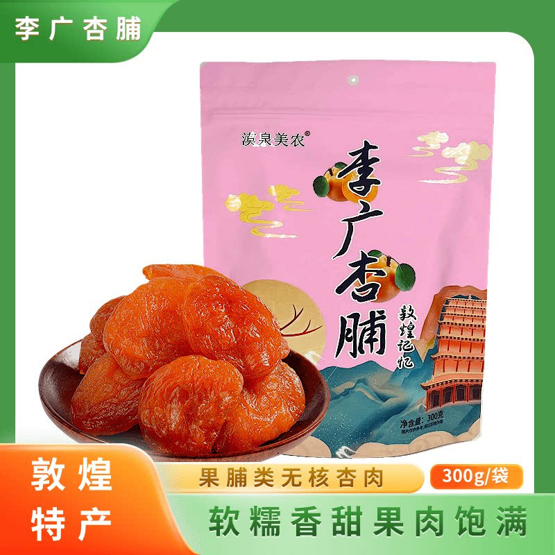新品敦煌特产李广杏脯300g袋装