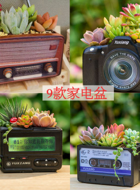 超吸引人创意花盆可立体