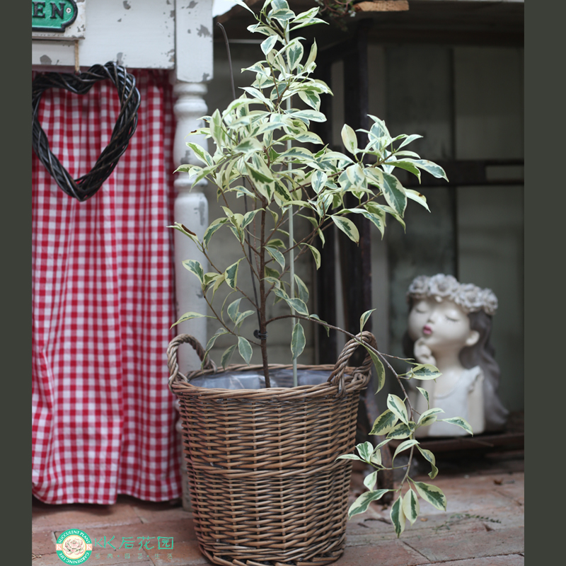 出口圆形柳编筐收纳筐家具装饰麻花口直身双儿带防水大号超百搭