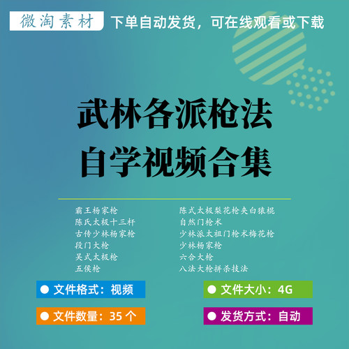 武林各派秘传枪法枪术全套视频杨家枪六合枪梨花枪梅花枪太极枪