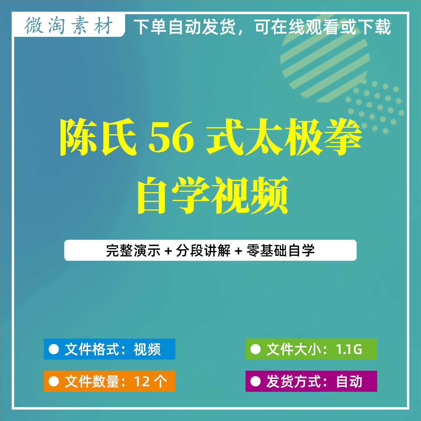 陈氏56式太极拳竞赛套路视频素材零基础入门陈式太极拳五十六式