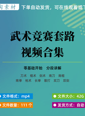 刀术棍术剑术南刀南棍南拳长拳散打双刀武术竞赛第三套路视频合集
