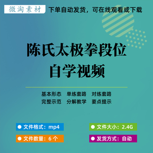 陈氏太极拳段位制高清视频自学