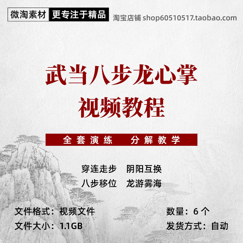 武当功夫八步龙心掌视频教程素材传统武术武当掌法