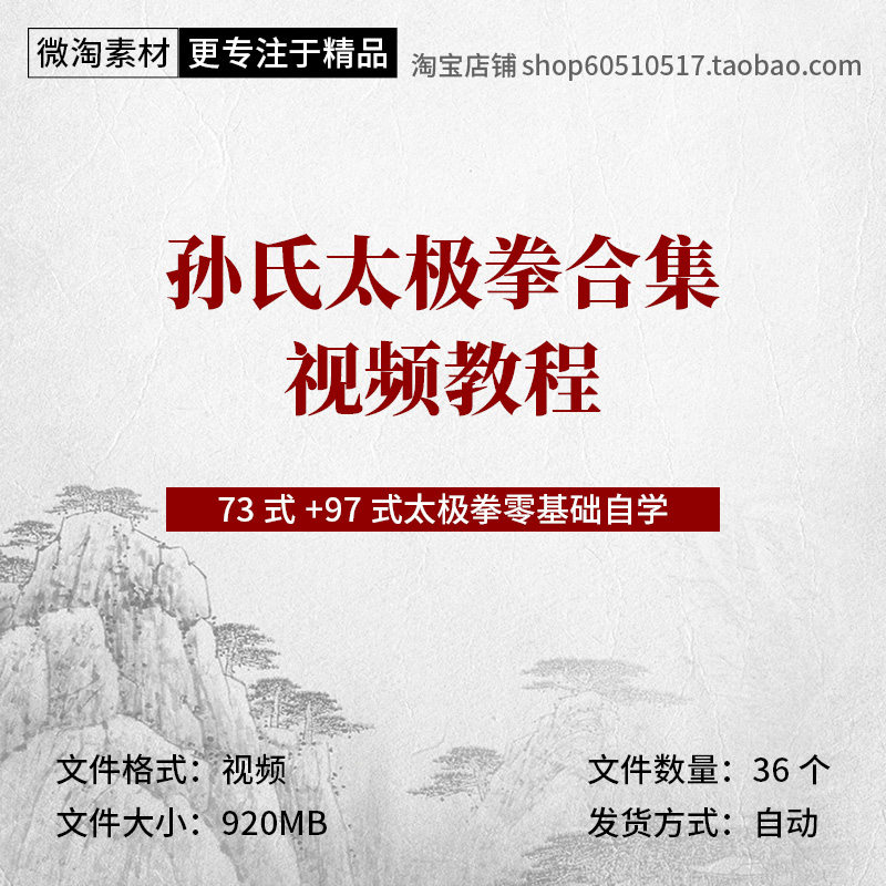 孙氏太极拳合集全套视频素材零基础自学73式97式孙氏太极拳