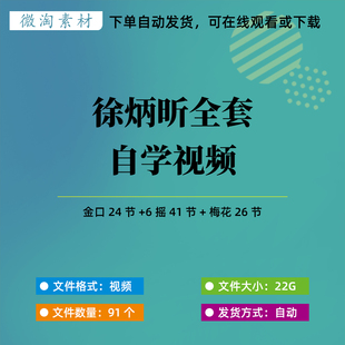徐炳昕国学传统文化金口诀梅花多套高清自学视频
