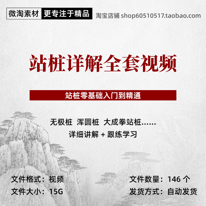 站桩全套视频零基础传统养生站桩无极桩浑圆桩大成拳站桩 商务/设计服务 设计素材/源文件 原图主图