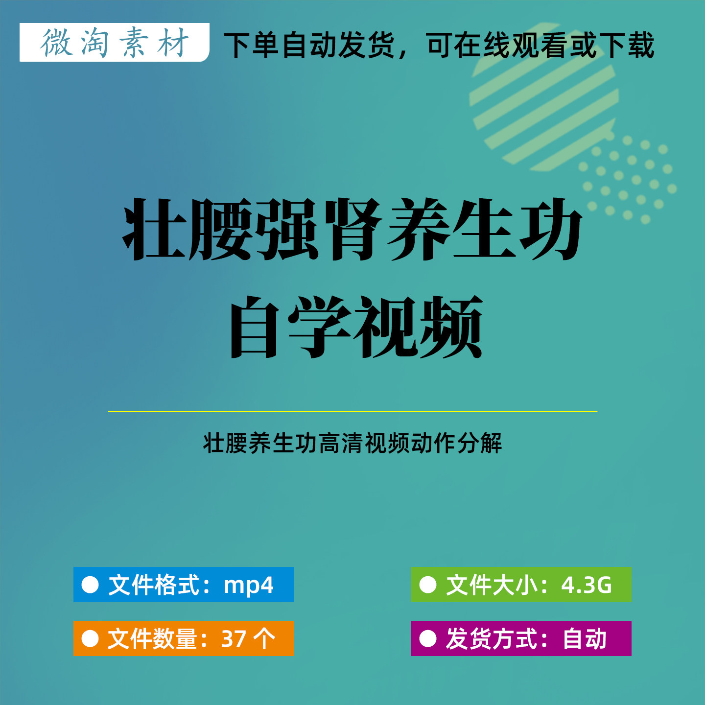 壮腰强肾养生功动作分解自学高清自学视频
