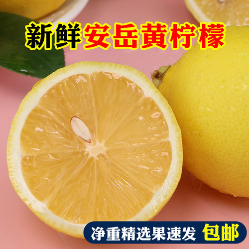 新鲜安岳黄柠檬尤力克奶茶店专用水果皮薄多汁包邮非进口大小可选