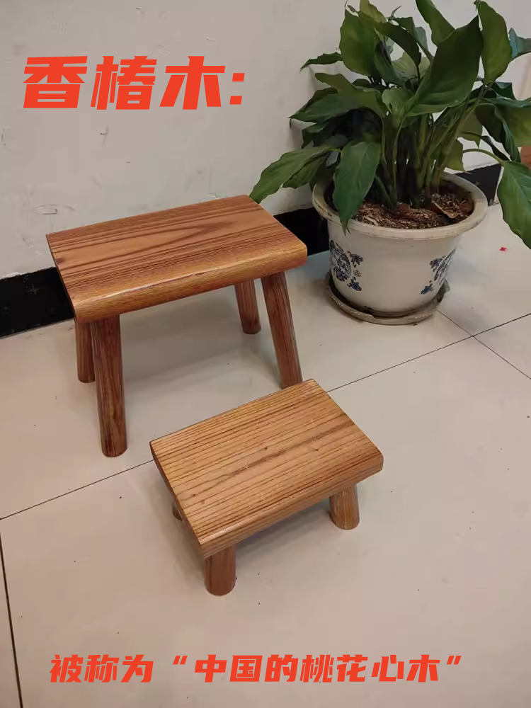 发财树香椿木厂家直销