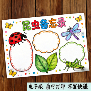 昆虫备忘录手抄报小学生大自然昆虫科普知识手抄报空白线稿模板A4