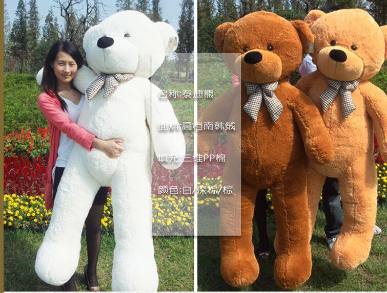 8米boyds林嘉欣泰迪熊 毛绒玩具 大抱熊 礼物包邮