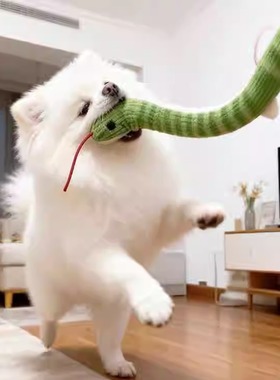 小狗狗玩具甩头小蛇毛绒玩偶中小型犬自嗨解闷神器磨牙耐咬逗狗棒