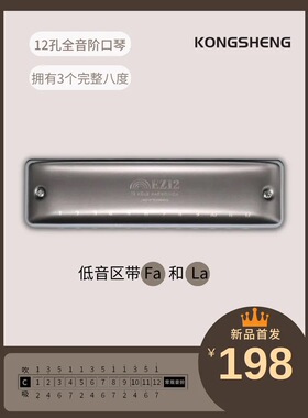 孔声EZ12圆孔 Scolo调音 十二孔蓝调布鲁斯口琴  半音阶 复音相同