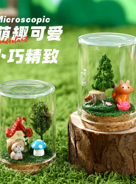 微观世界圆梦瓶漂流瓶生态瓶