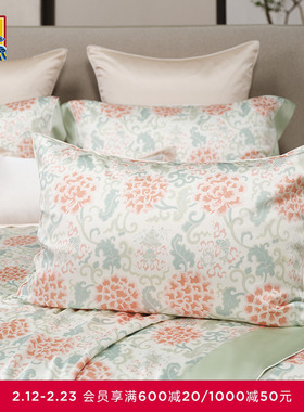 爱慕皇锦印花玻尿酸枕套礼盒-缠枝牡丹HJ11835