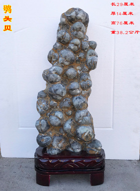 原石科普教学会所厅堂观赏摆件