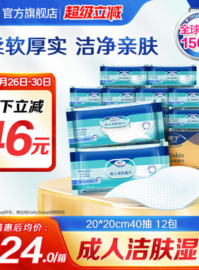 TENA/添宁Proskin成人洁肤柔软湿巾随身装40抽*12包家用手口可用