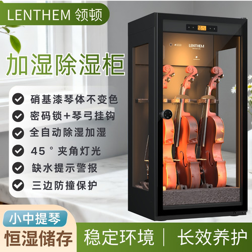 小中提琴乐器加湿恒湿柜带密码锁