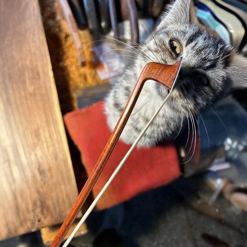 专业演奏级精选老料巴西苏木4/4小提琴琴弓进口马尾材质好弹性好