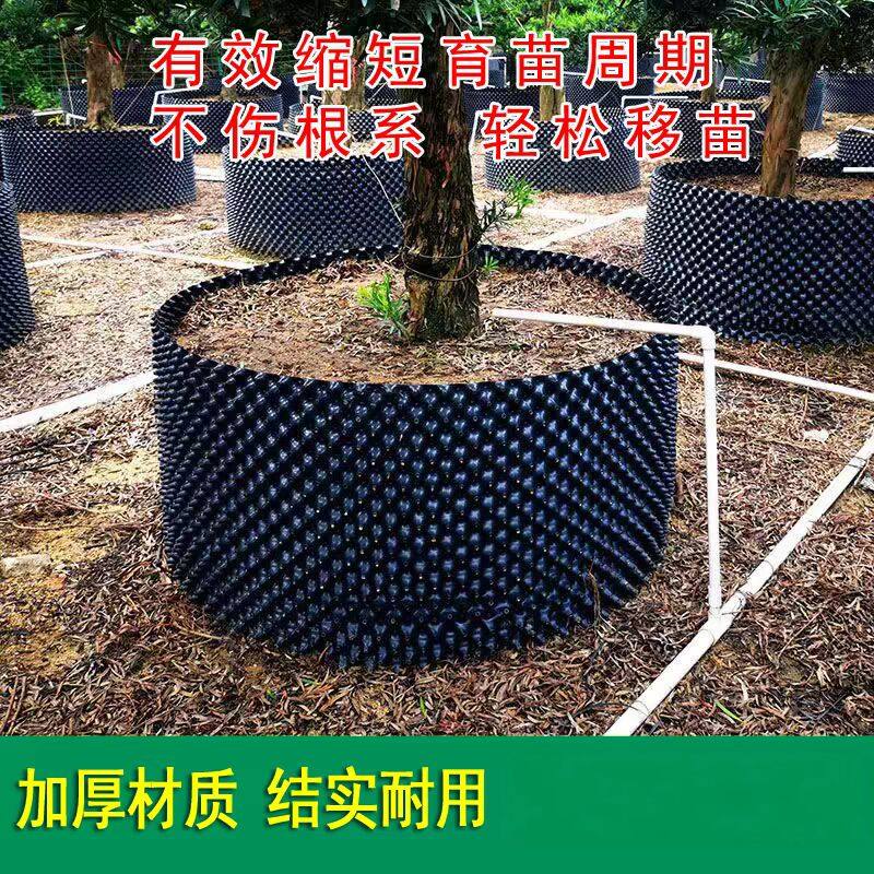 植树植物槟榔围板塑料挡土树苗