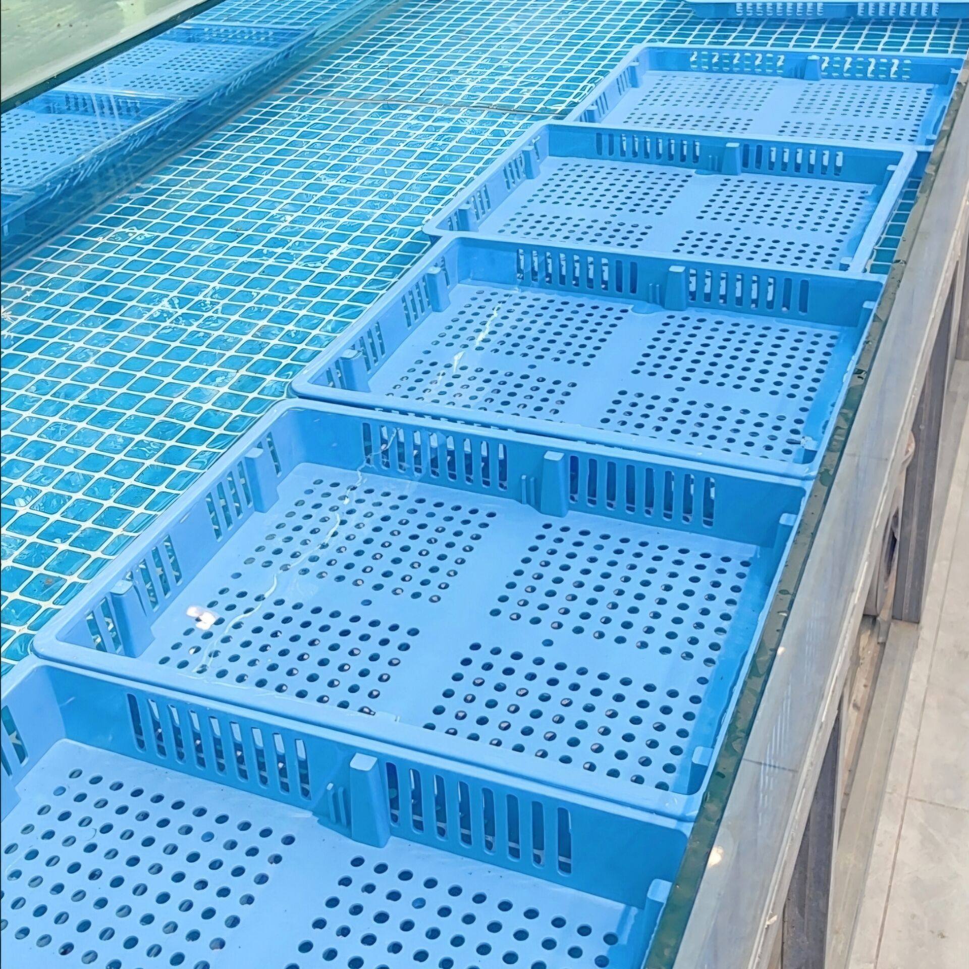 花甲筐贝壳花甲吐沙加厚火锅店