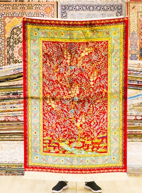 天匠伊朗进口波斯地毯美式法式客厅卧室高端手工地毯100x150cm