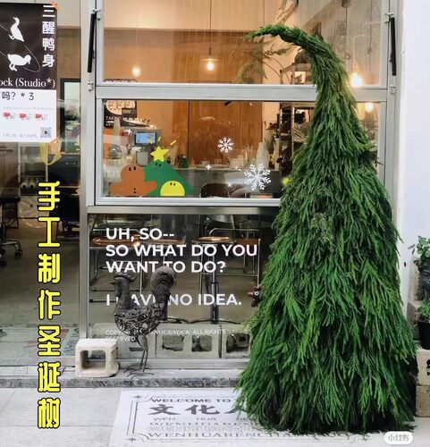 鲜切松树枝diy真圣诞树