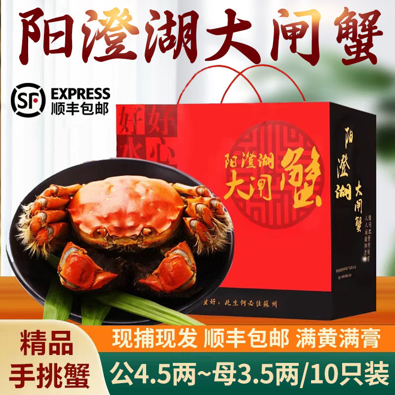 活蟹苏州官方阳澄精品大闸蟹鲜活特大螃蟹公4.5两母蟹3.5两礼盒装
