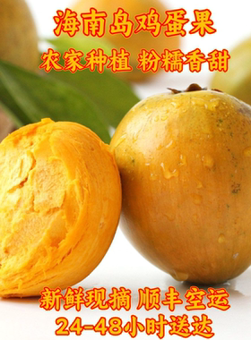 【顺丰空运】海南蛋黄果新鲜鸡蛋果5斤整箱现摘现发