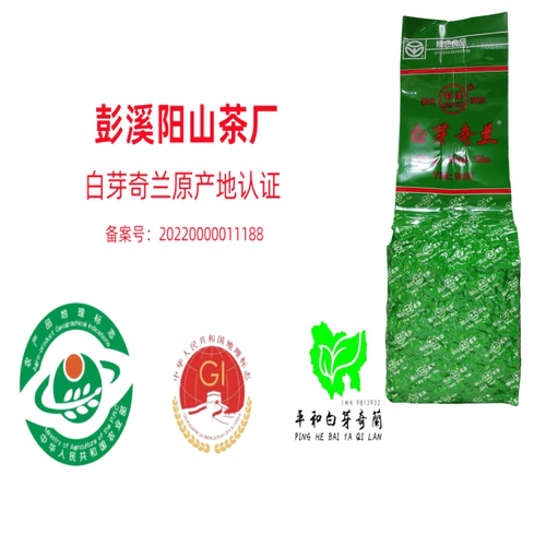彭溪高山乌龙茶平和茶白芽奇兰浓香阳山茶厂2026年新茶250克