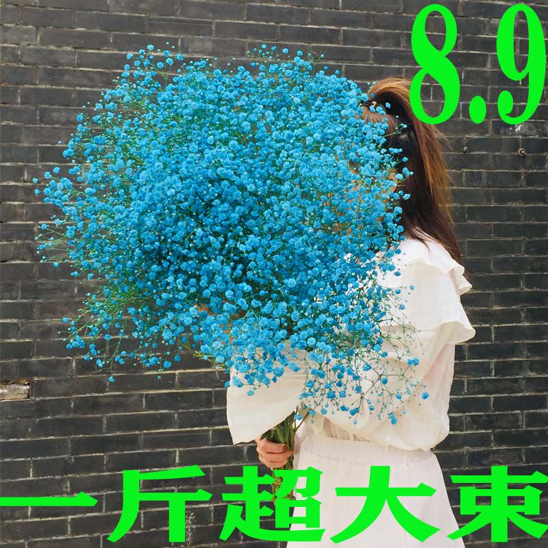 云南满天星干花云南满天星图片
