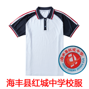 海丰县红城中学校服 新款红条夏季校服外套长裤男女通用