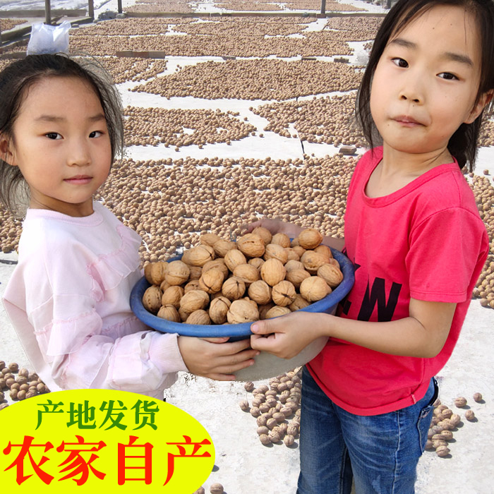 新疆阿克苏纸皮核桃肉厚孕妇零食