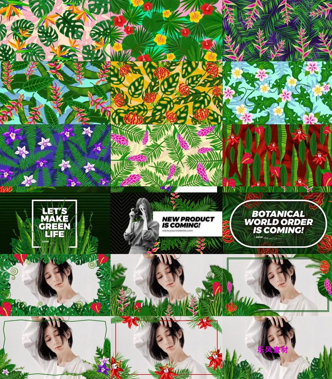 AE模板-植物花朵叶子视频包装工具包