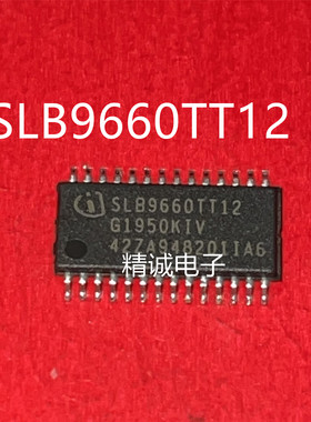 SLB9660TT12 TSSOP28全新正品进口芯片1