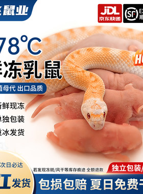 小白鼠红皮乳鼠冰冻宠物蛇饲料粮包邮顺丰京东浙江发货喂龟高蛋白