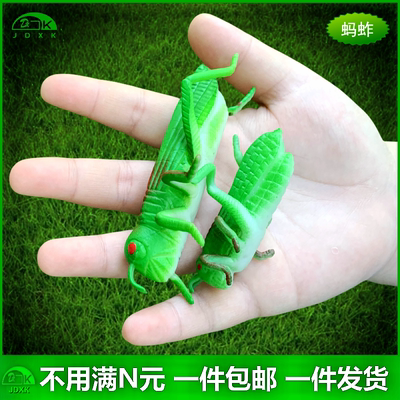 软胶大小号仿真蚂蚱玩具包邮