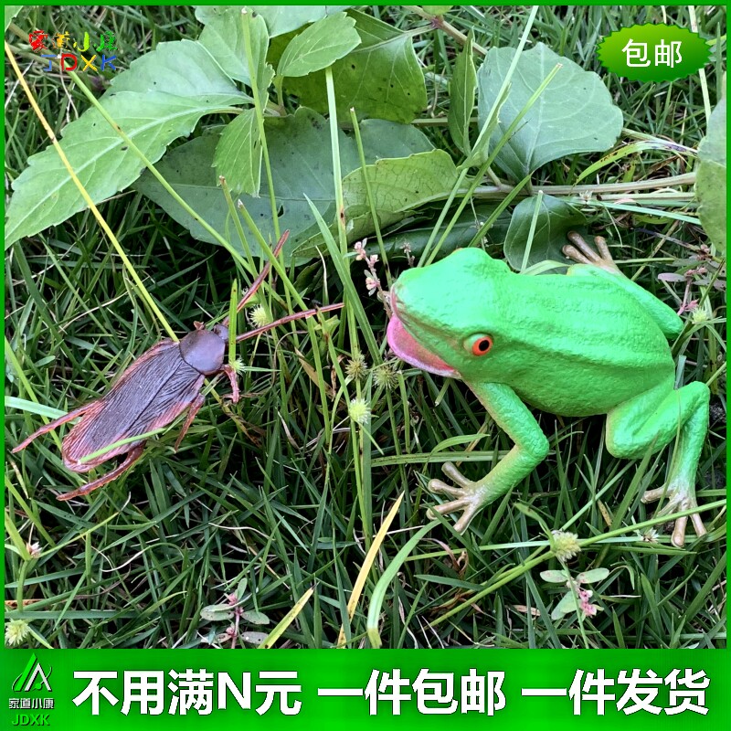 仿真青蛙软胶蛤蟆赖蟾蜍吓人整人恶搞蟑螂儿童玩具小昆虫动物模型